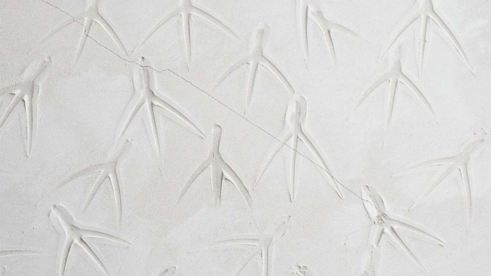 Crow's foot ceiling texture pattern.